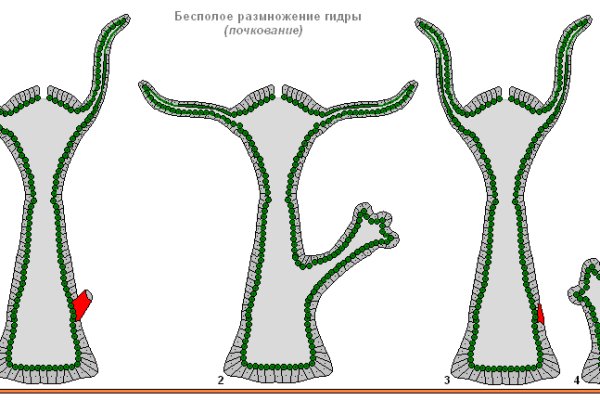 Ссылка на кракен в тор браузере