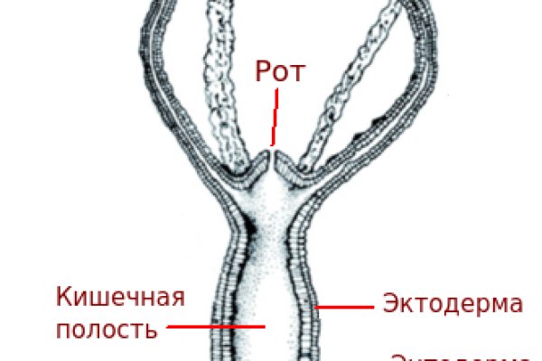 Кракен черный сайт