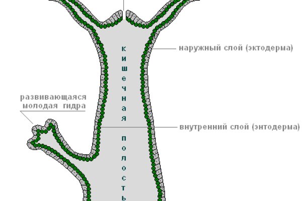 Ссылка на кракен официальный