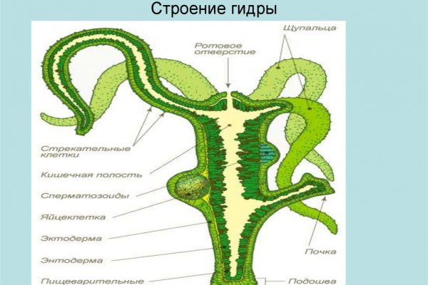 Кракен маркет даркнет тор