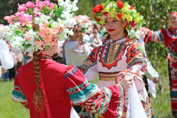 Какая ссылка на кракен