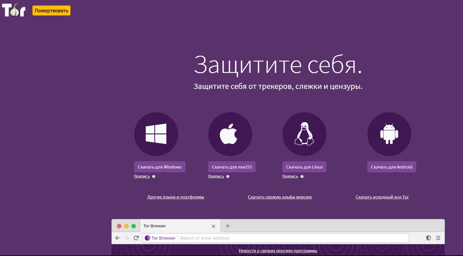 Зайти на кракен тор